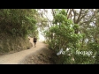 Tramping Track 3083